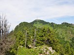 Blick zurück zum Grünten