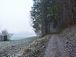 ...und wandern über einen Forstweg zurück zur Antoniuskapelle