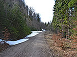 Wir schlagen den Forstweg zur Chiemhauser Alm ein