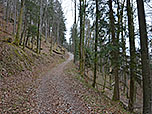 ...kürzen wir nach wenigen Minuten über einen Karrenweg ab
