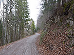 Nach dem Hof wandern wir wieder in den Bergwald hinein