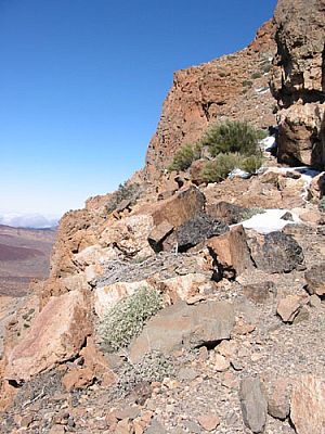 Zügig geht's bergab