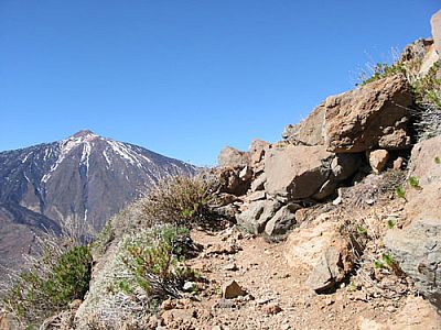 Ein letzter Blick zum Teide...