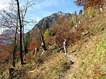 ...und schon bald durch lichten Wald aufwärts