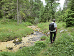 Etwas unscheinbar führt uns der Weg durch den Wald