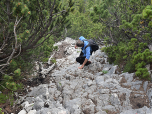 Steil führt uns der Weg durch die Latschen Richtung Steinberg