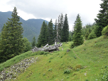 Nur mäßig an Höhe gewinnend wandern wir auf die Nordseite des Guffert