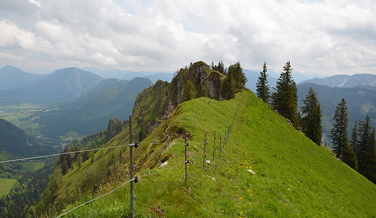 Haaralmschneid (1594 m), Chiemgauer Alpen, Ruhpolding