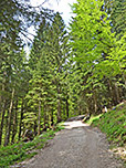 ...wandern wir zügig bergauf