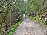 Wir wandern noch ein kurzes Stück über den Forstweg...
