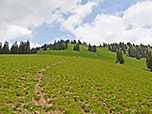 ...und wandern von dort in einem Rechtsbogen über den breiten Grasrücken bergauf
