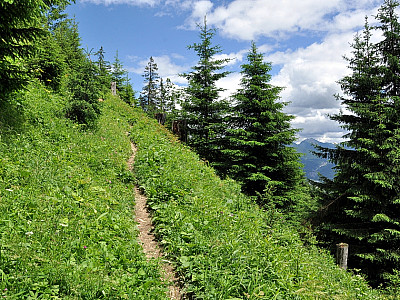 In 1220 Höhenmeter verlassen wir endgültig die Fahrstraße für den Aufstieg