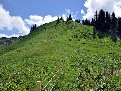Direkt am Kamm kann man auch über einen Pfad aufsteigen...