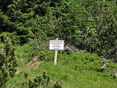 Der Weg zum Hornbergle ist gesperrt (Stand 2015)