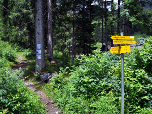 ... und halten uns westlich, weiter zur Lechaschauer Alpe.