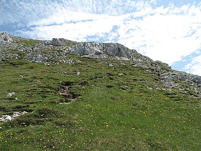 Der Wiesenpfad geleitet uns...