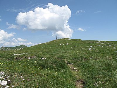 Nach den Schrofen stehen wir am Gipfelplateau