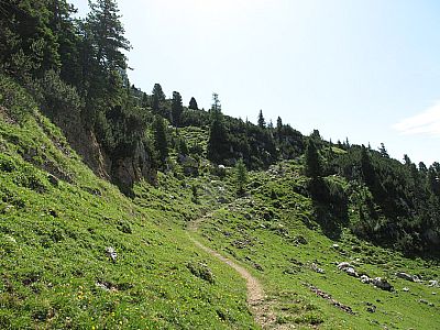 Wir queren zuerst den grasigen Hang