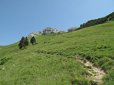 Im Anschluss geht es steil bergauf