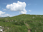 Nach den Schrofen stehen wir am Gipfelplateau