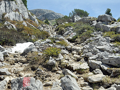 Es wird etwas steiniger