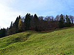 Blick von der Alm zur Harauer Spitze