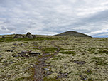 Vor uns zeigt sich die Gipfelkuppe des Hardbakken