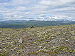 Blick zum Dovrefjell