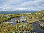 Mit Blick auf den Dovrefjell...