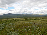 Blick über Hjelle Seter zum Dovrefjell