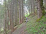 Wir wandern durch dichten...