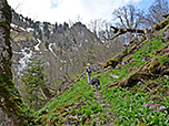 ...und lichten Wald weiter bergauf