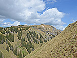 Blick zum Feigenberg