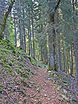 Ein Waldpfad bringt uns schließlich zurück...
