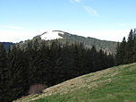 Blick zum Zwieselberg