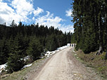 Weiterweg vom Blomberghaus zum Zwieselberg