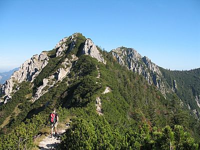 Kurz vor dem Schlehdorfer Kreuz 