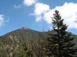 Der Martinskopf