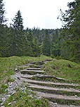 ...leitet uns ein mit Stufen ausgebauter Weg weiterhin zügig bergauf