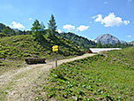 ...schlagen wir den beschilderten Weg zum Wildsee ein