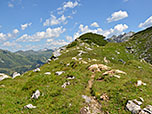 ...im Auf und Ab über den Wiesenrücken