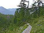 ...wandern wir in vielen Kehren...
