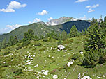 Blick zum Spirzinger und zur Steinfeldspitze