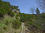 ...auf die Felsen des Laubenecks zu