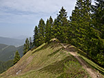 ...über einen kurzen Kammverlauf und durch ein Waldstück...