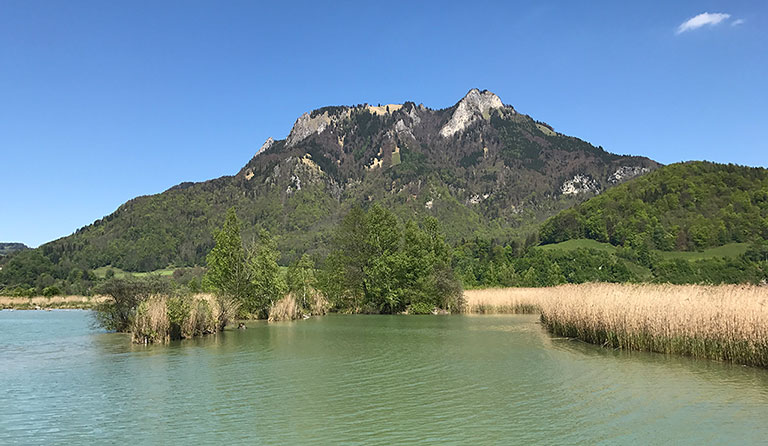 Heuberg (1338 m) von Gammern über die Daffnerwaldalmen