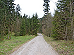 ...gelangen wir durch lichten Wald...