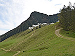 Der Karrenweg wendet sich dem Kitzstein zu