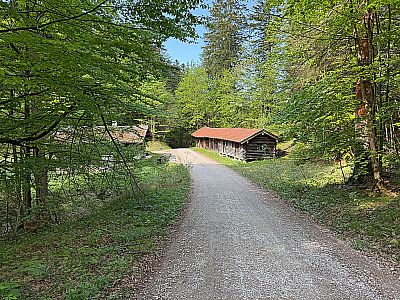 Vorschaubild 7
