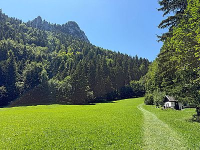 Vorschaubild 2